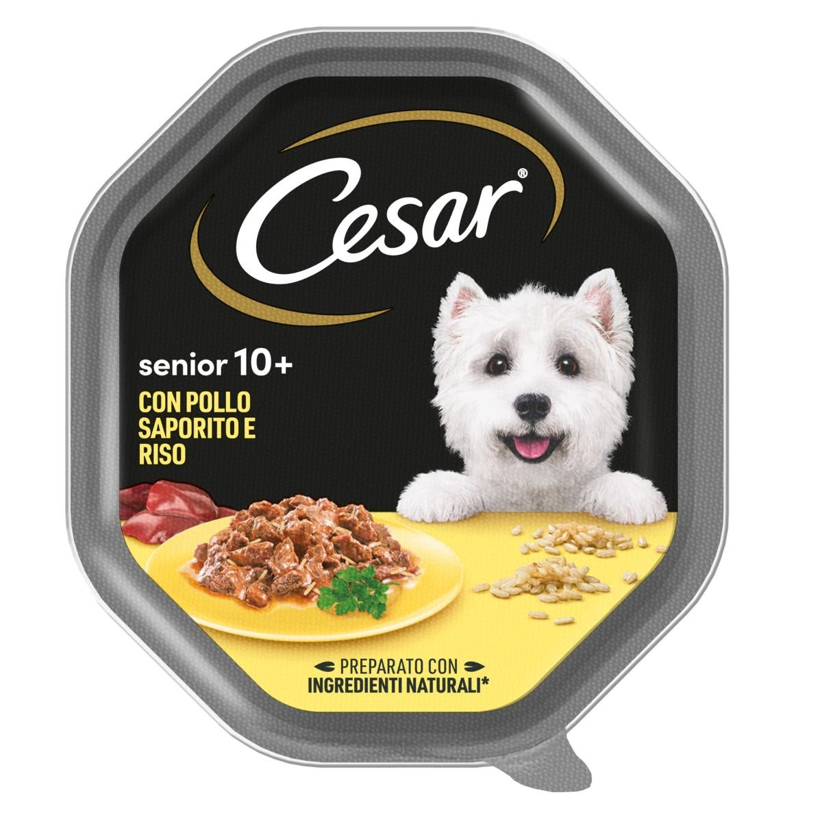 CESAR Senior 10+ Pollo e Riso