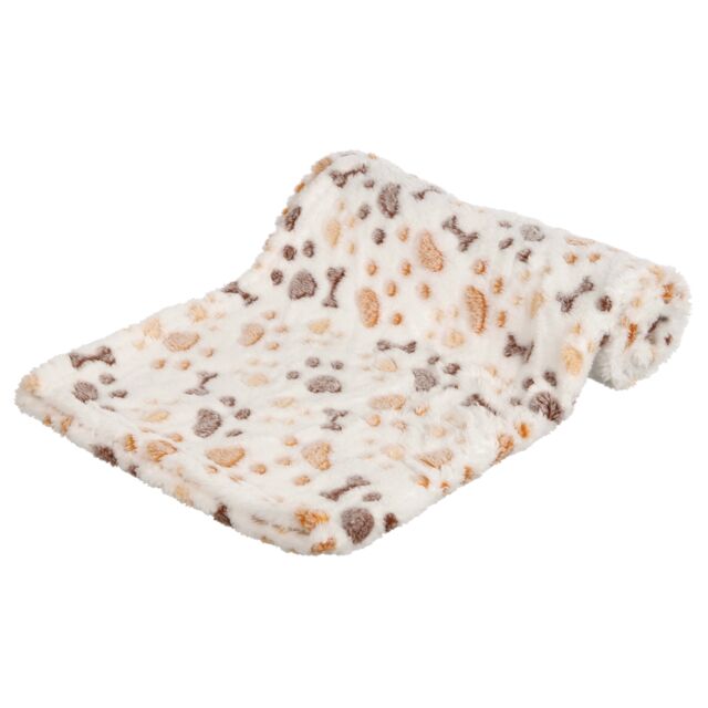 TX Coperta Lingo