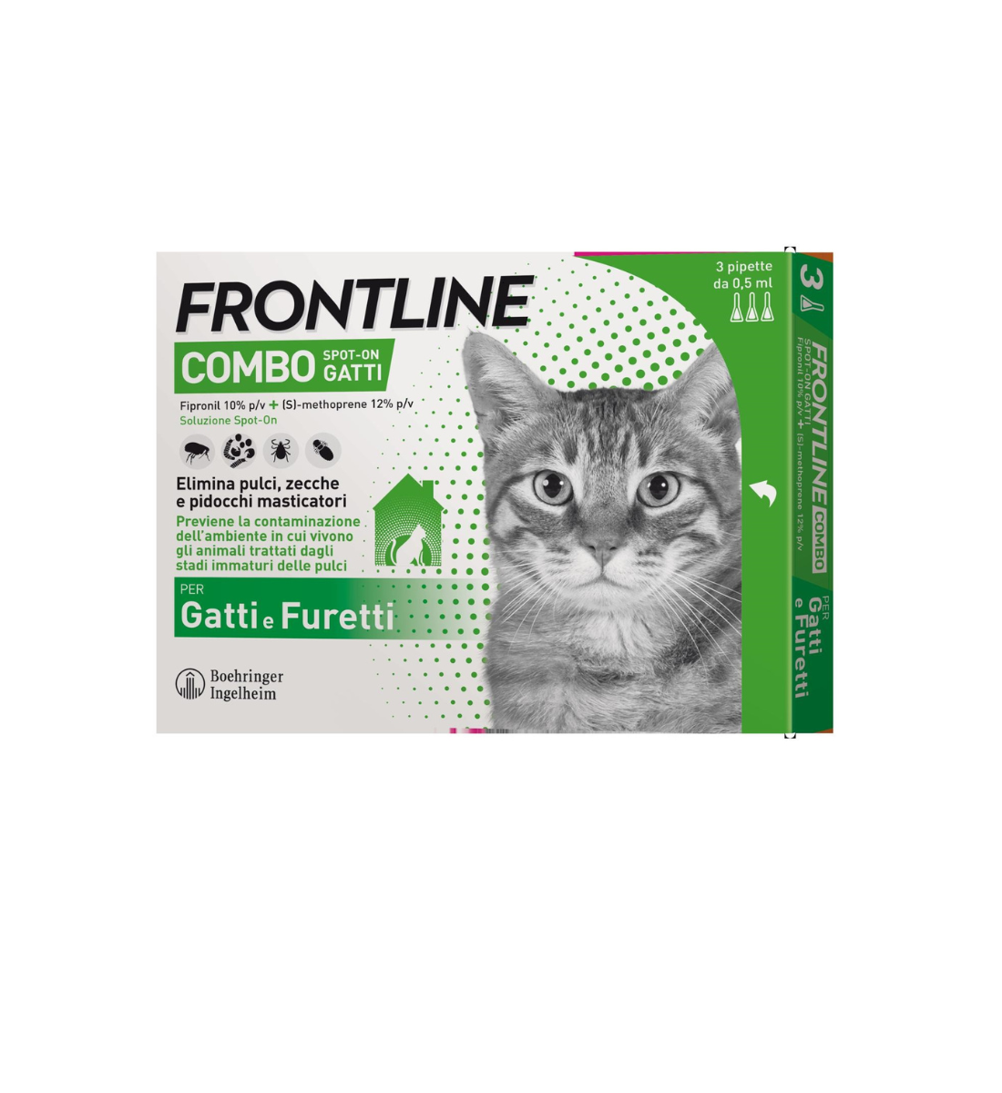 Frontline Combo Gatto
