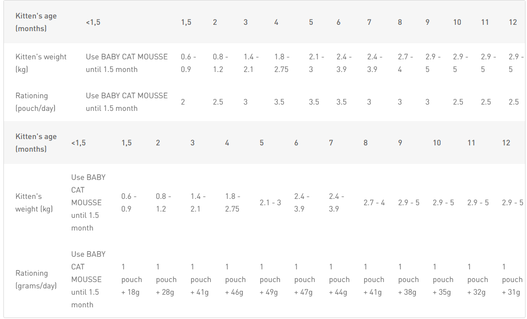 ROYAL CANIN Kitten Bocconcini in gelatina