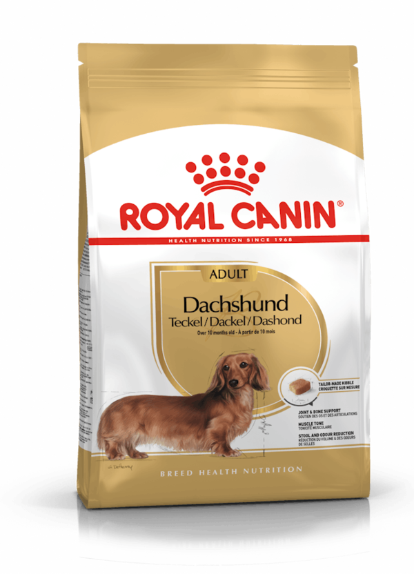 ROYAL CANIN Bassotto