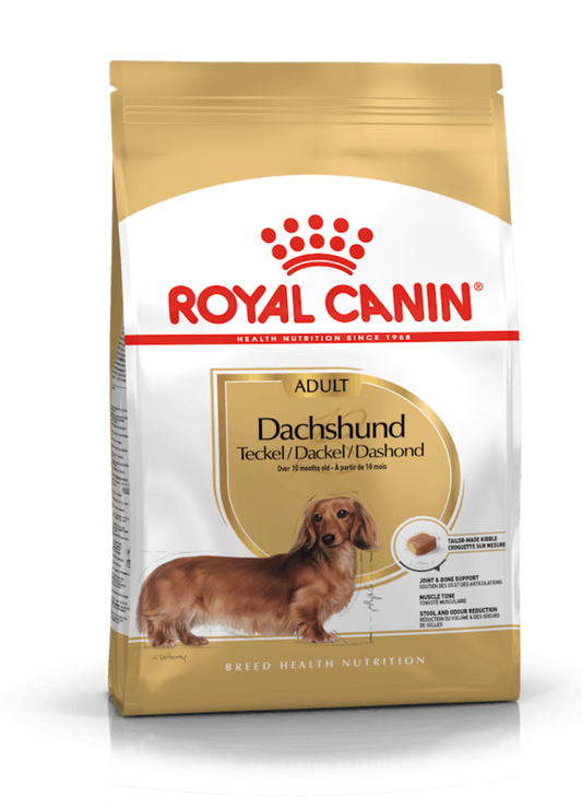 ROYAL CANIN Bassotto