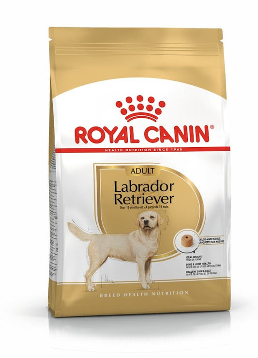 ROYAL CANIN Labrador Retriever Adult