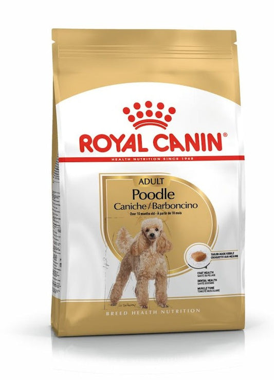 ROYAL CANIN Barboncino
