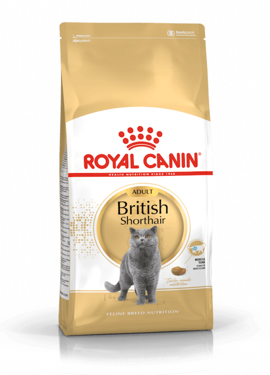 ROYAL CANIN British Shorthair Adult