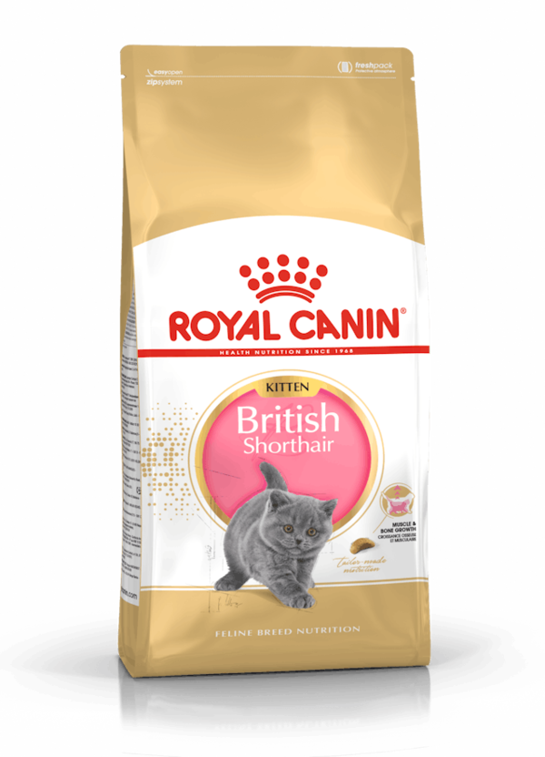 ROYAL CANIN British Shorthair Kitten