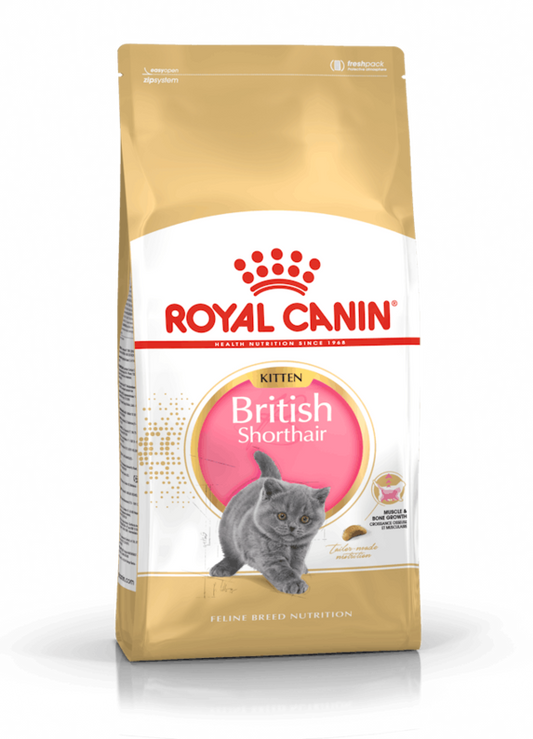 ROYAL CANIN British Shorthair Kitten