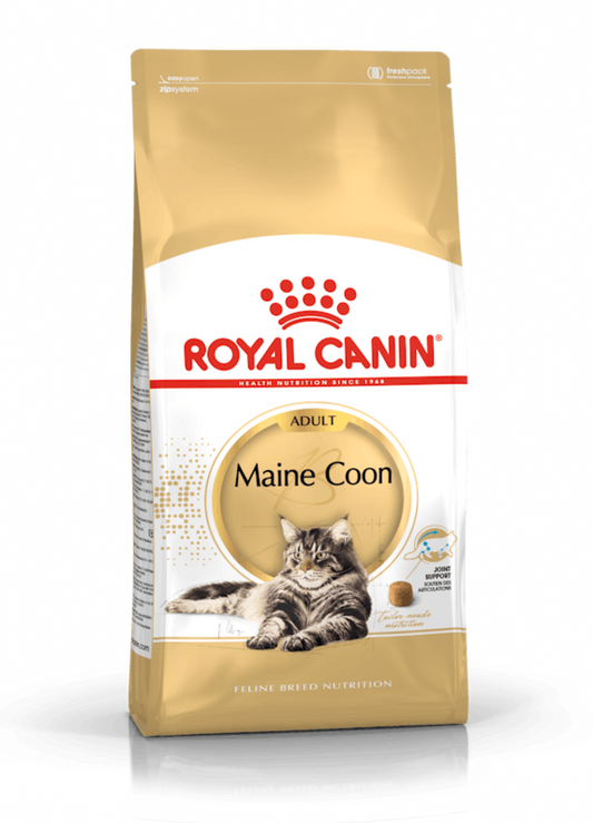 ROYAL CANIN Maine Coon Adult