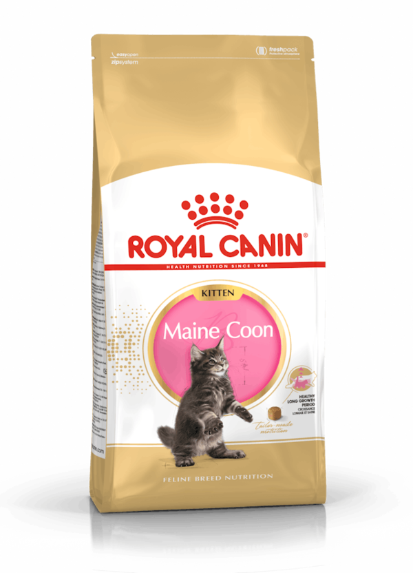 ROYAL CANIN Maine Coon Kitten