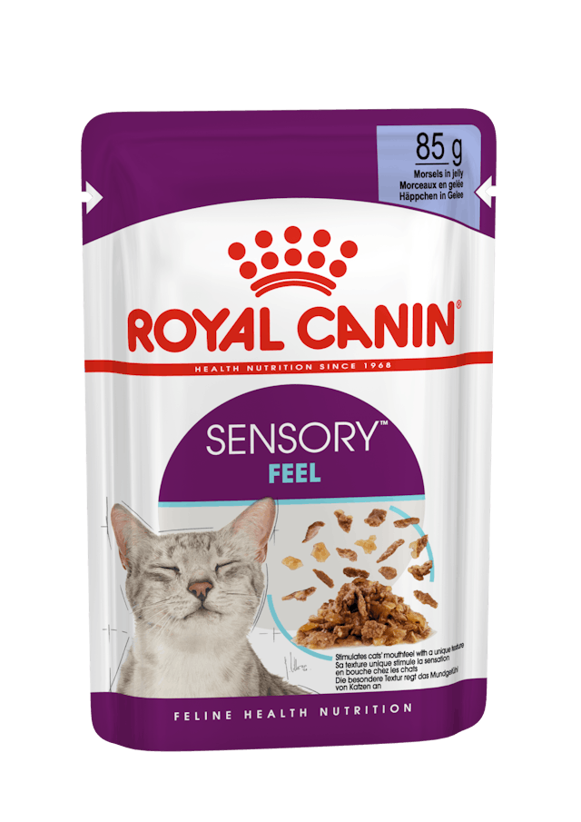ROYAL CANIN Sensory™ FEEL straccetti in gelatina
