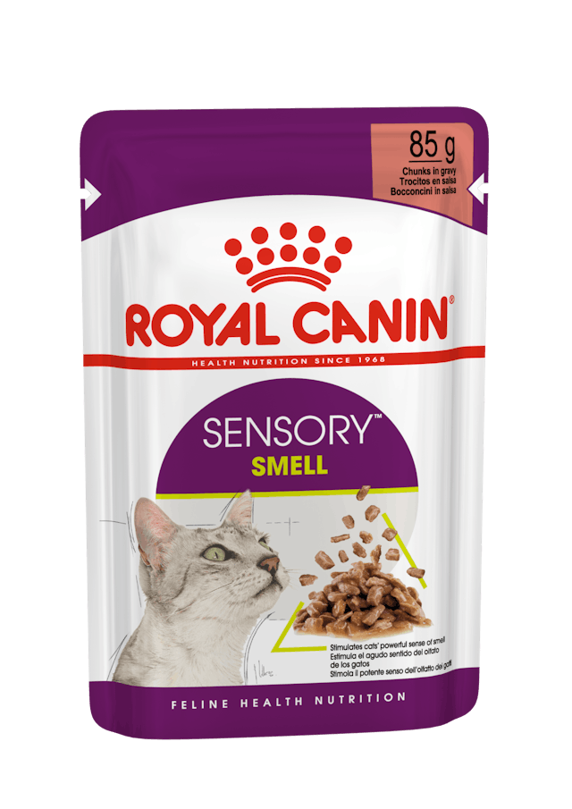 ROYAL CANIN Sensory™ SMELL bocconcini in salsa