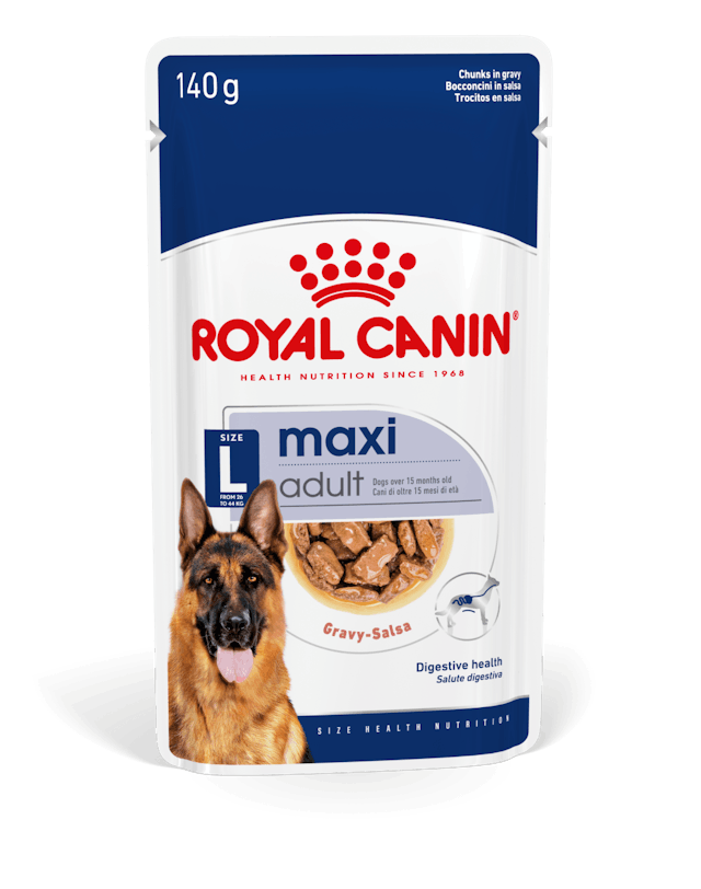 ROYAL CANIN Maxi Adult Umido