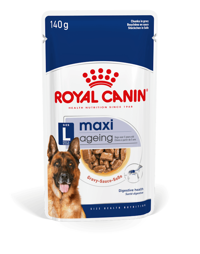ROYAL CANIN Maxi Ageing Umido