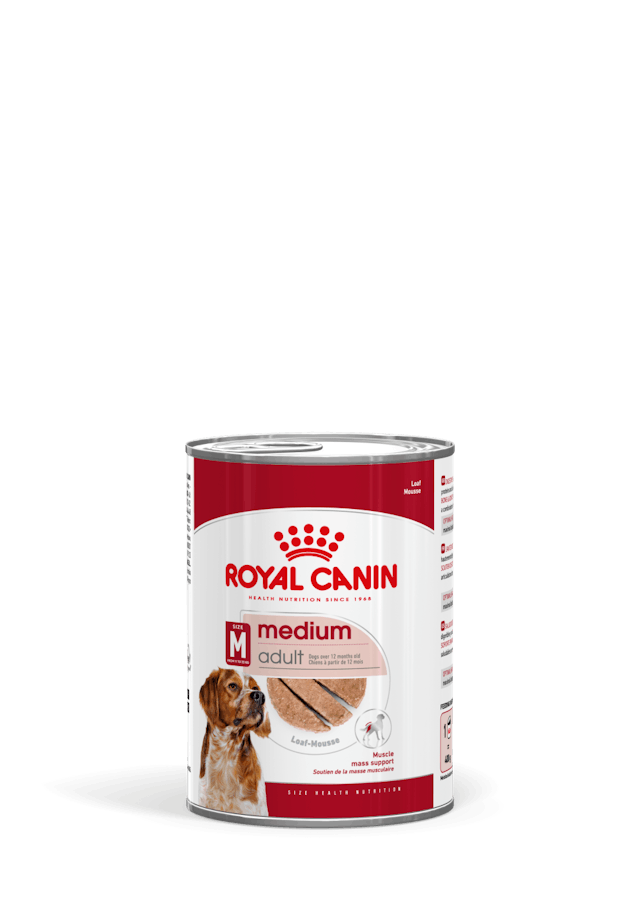ROYAL CANIN Medium Adult