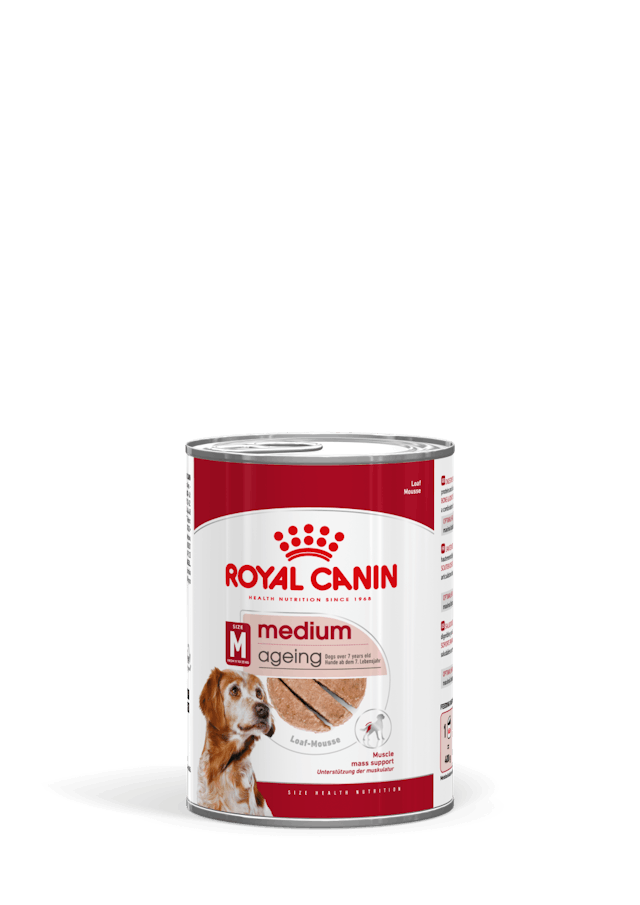 ROYAL CANIN Medium Ageing Umido
