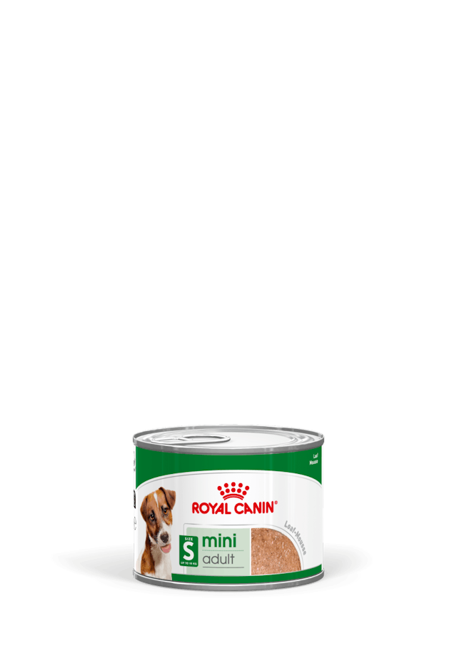 ROYAL CANIN Mini Adult Umido