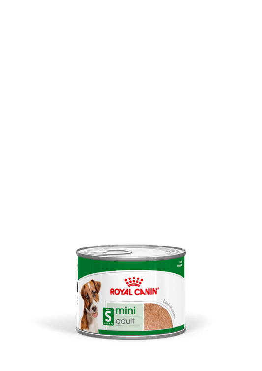 ROYAL CANIN Mini Adult Umido
