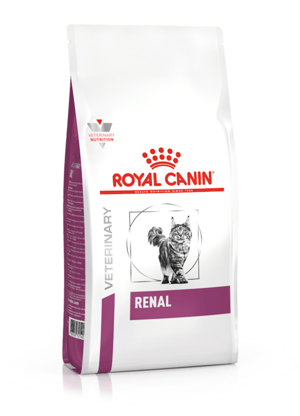 Royal Canin Renal Gatto