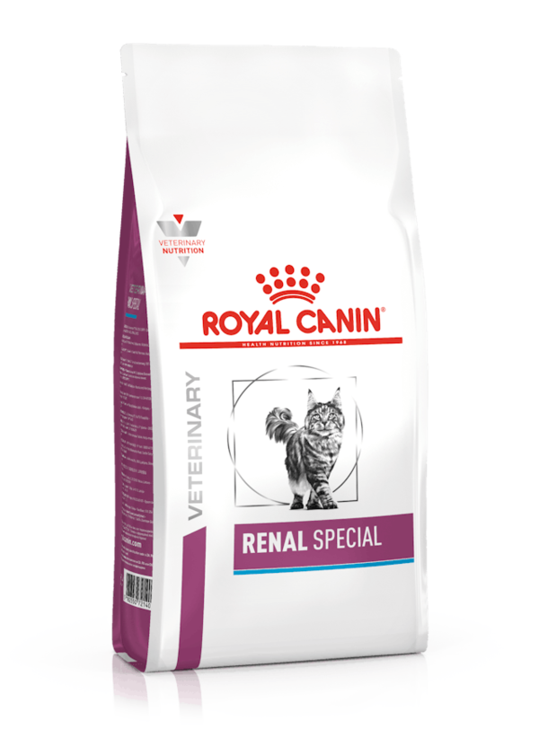 Royal Canin Renal Special Gatto