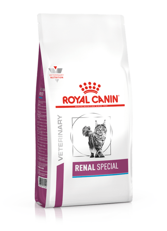 Royal Canin Renal Special Gatto