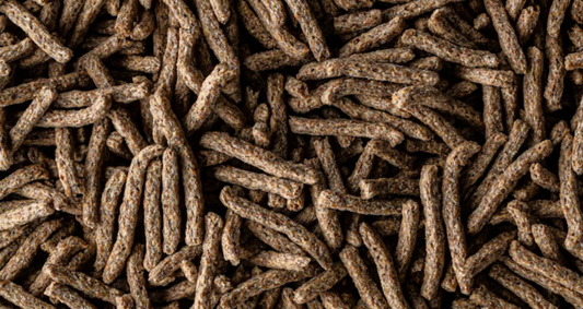 Pet food ipoallergenico: quando è la scelta giusta