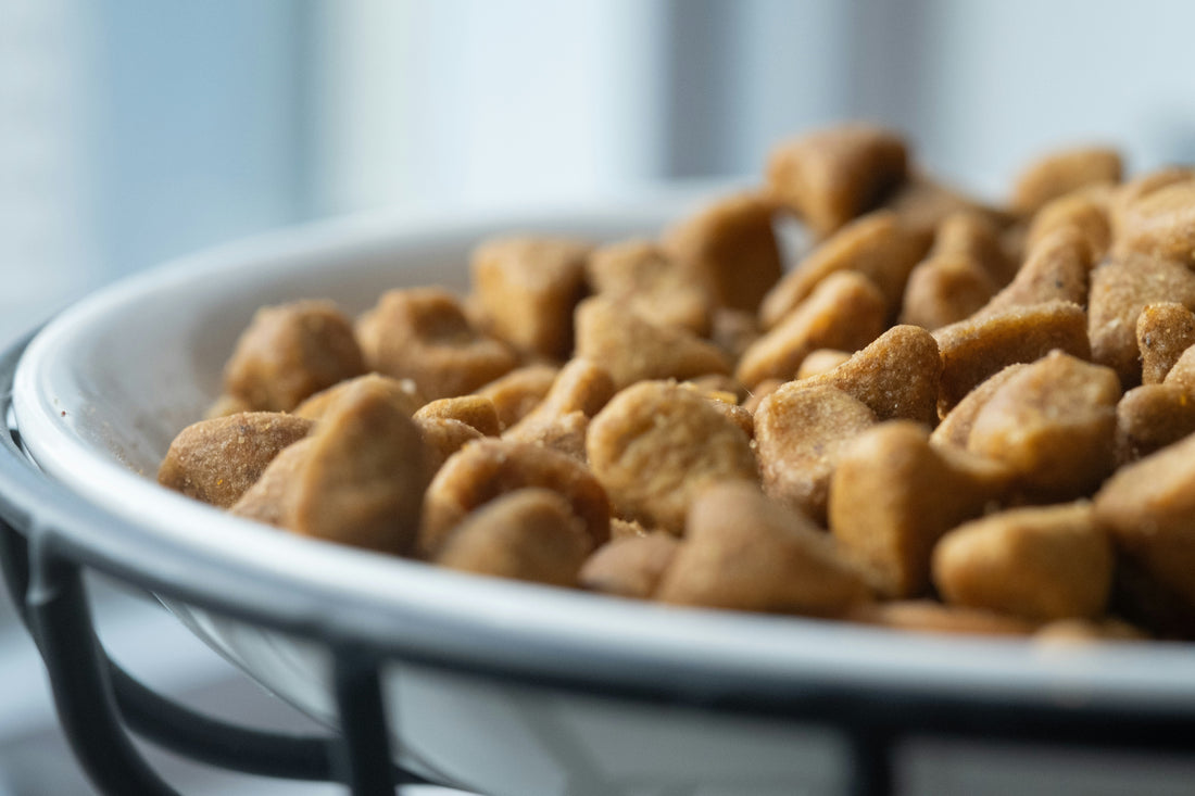 Superfood per cani e gatti: ingredienti naturali che fanno la differenza