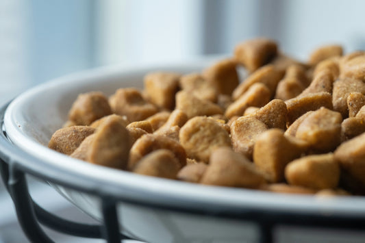 Superfood per cani e gatti: ingredienti naturali che fanno la differenza