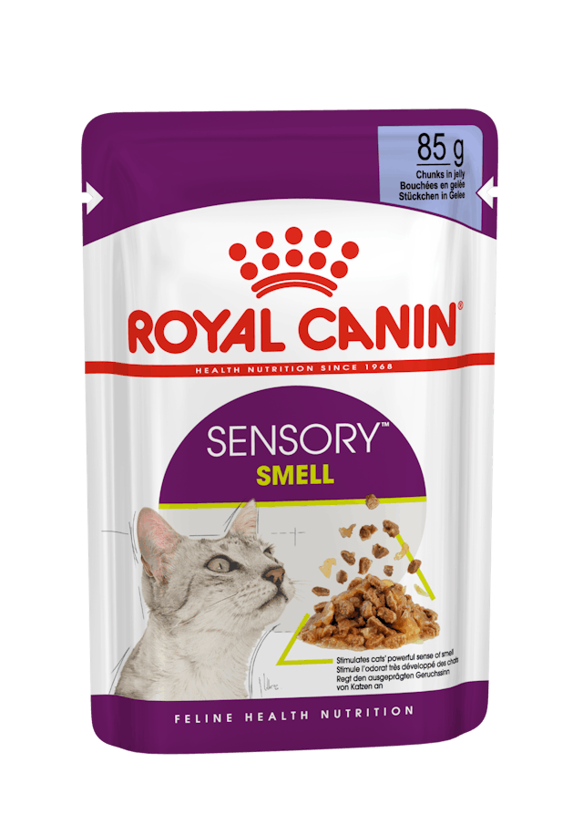 ROYAL CANIN Sensory™ SMELL bocconcini in gelatina